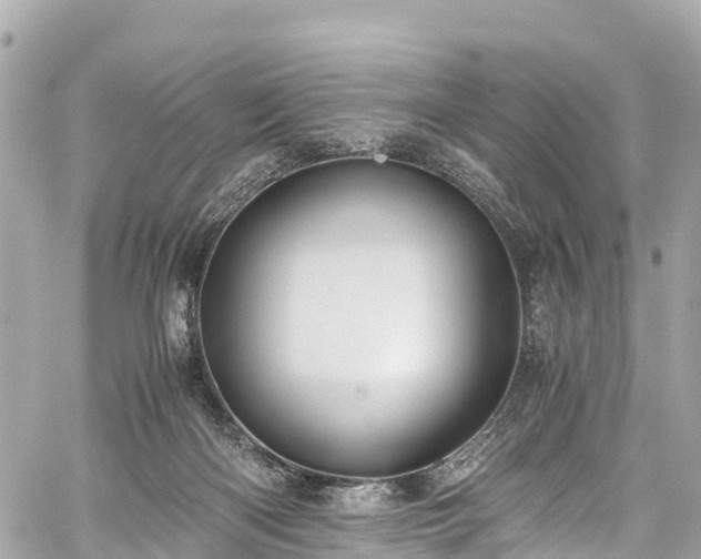 X0000059830122200510241431