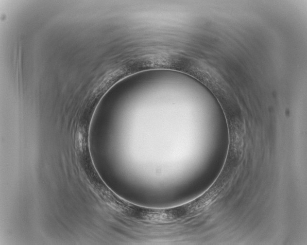 X0000059830123200510241431