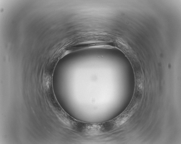 X0000059830125200510241431