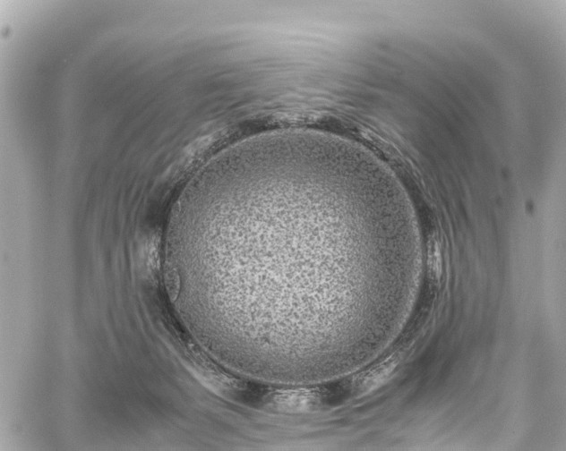 X0000059830127200510241431