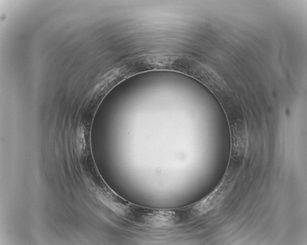 X0000059830128200510241431