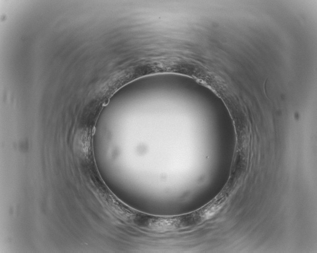 X0000059830129200510241431