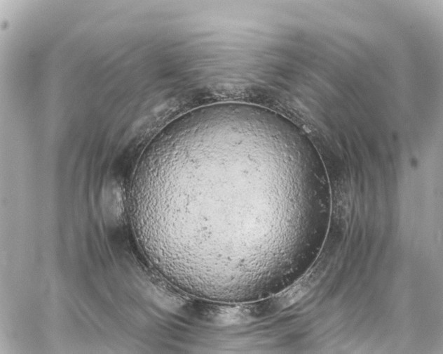 X0000059830130200510241431