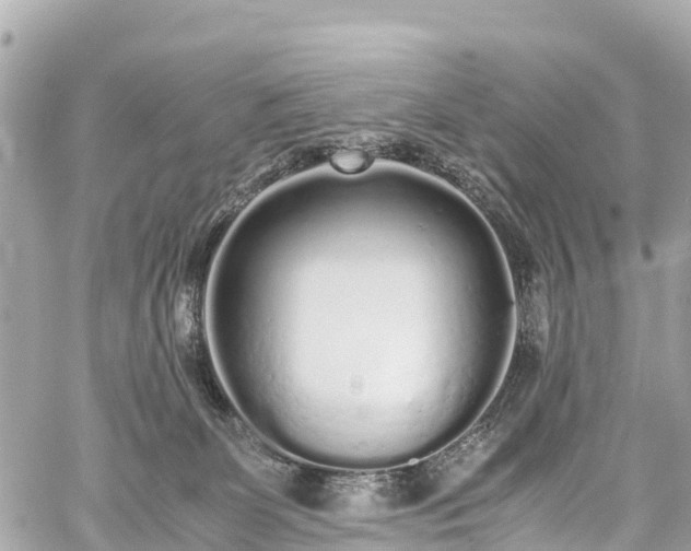 X0000059830131200510241431