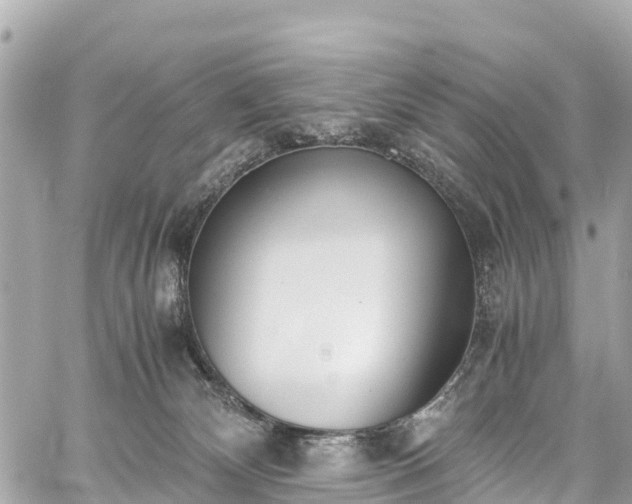 X0000059830132200510241431