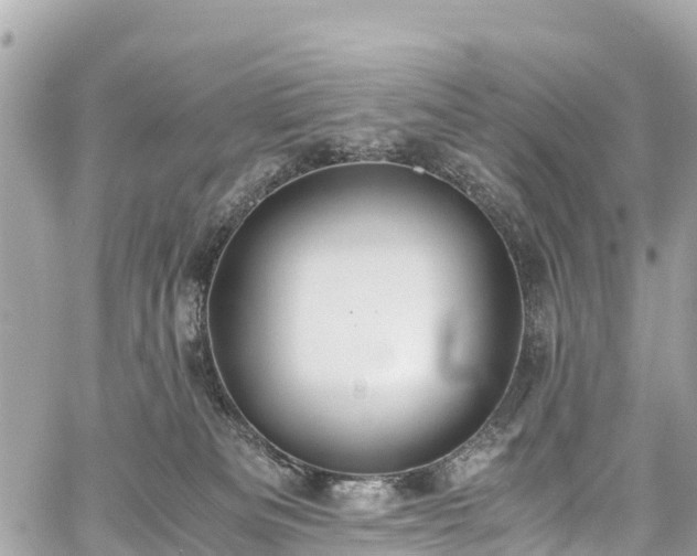 X0000059830133200510241431