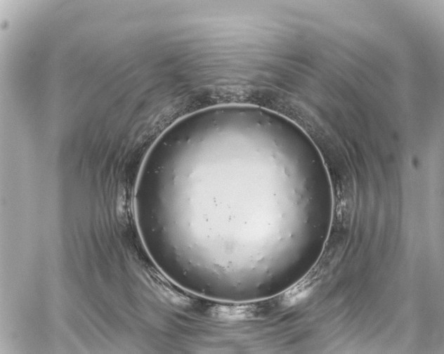 X0000059830134200510241431