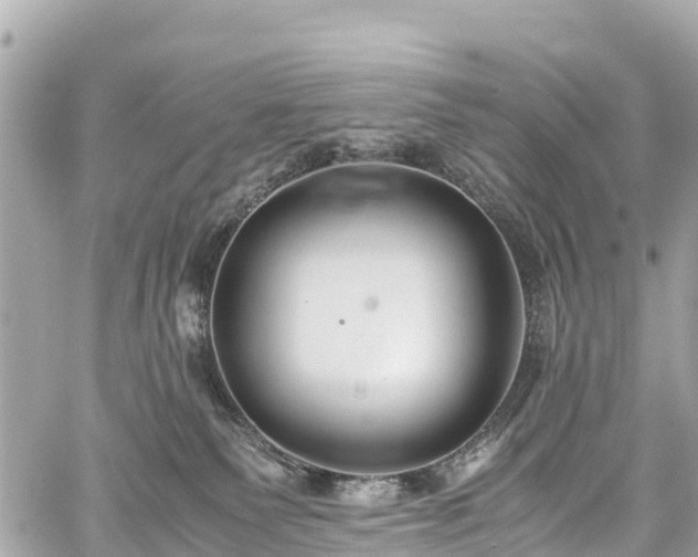 X0000059830135200510241430