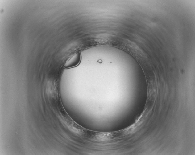 X0000059830136200510241430