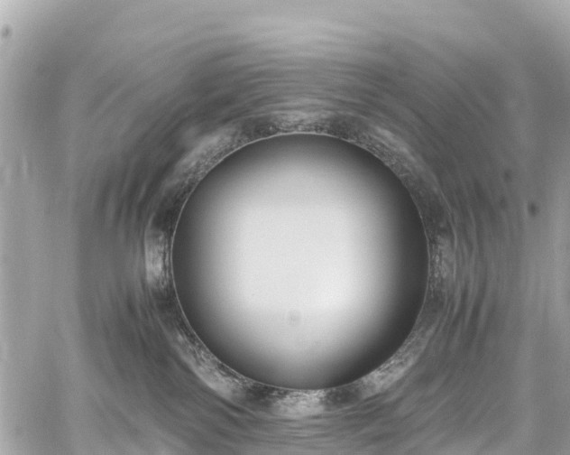 X0000059830138200510241430