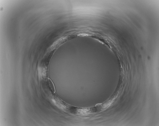 X0000059830139200510241430