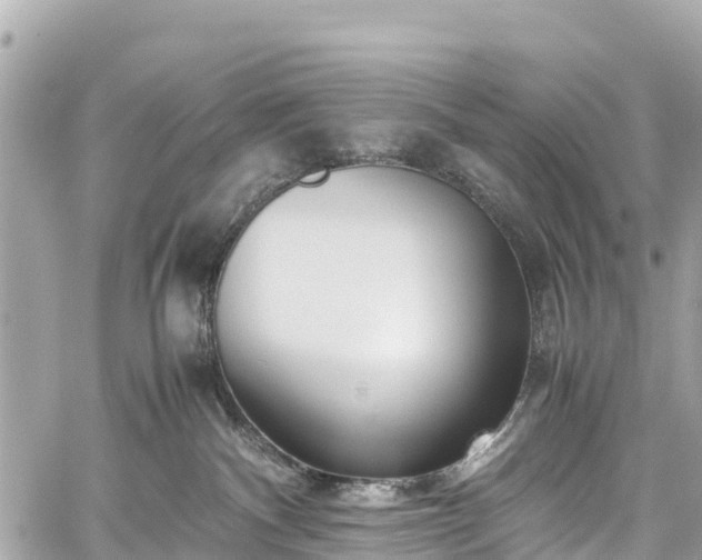 X0000059830140200510241430