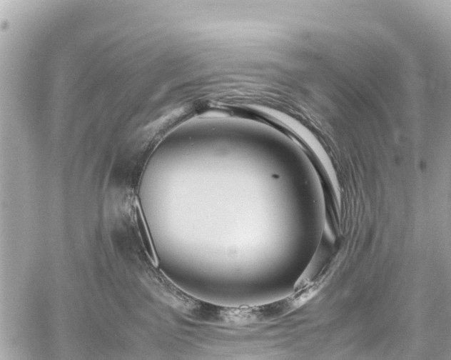 X0000059830141200510241430