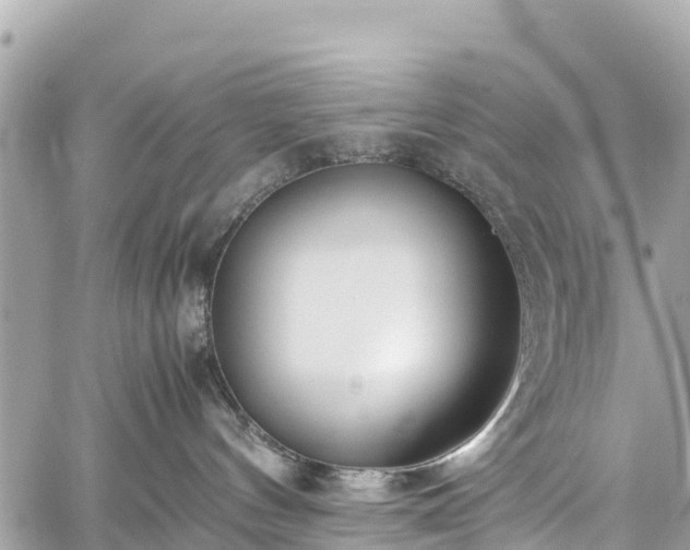 X0000059830144200510241430