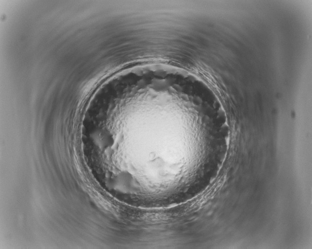 X0000059830145200510241430