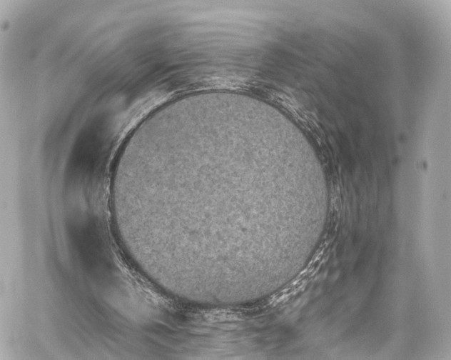 X0000059830146200510241430