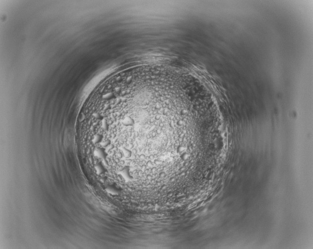 X0000059830147200510241430