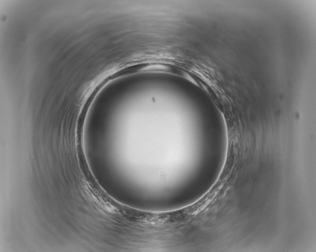 X0000059830148200510241430