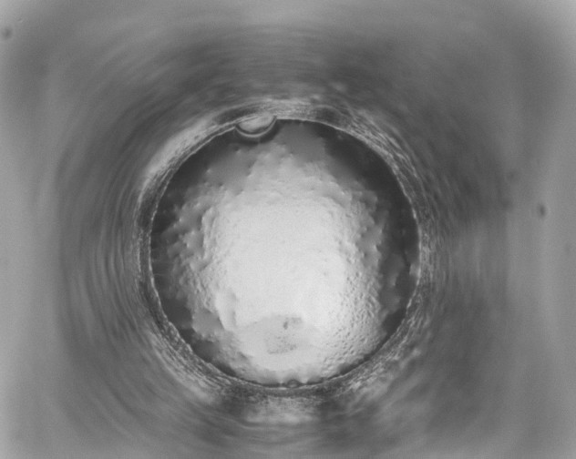 X0000059830149200510241430