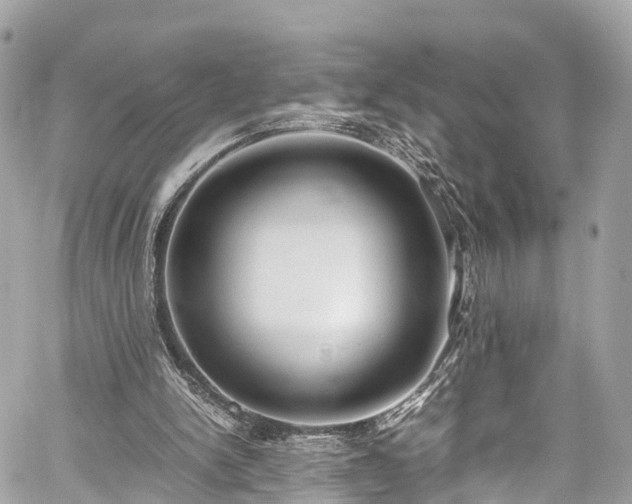 X0000059830150200510241430