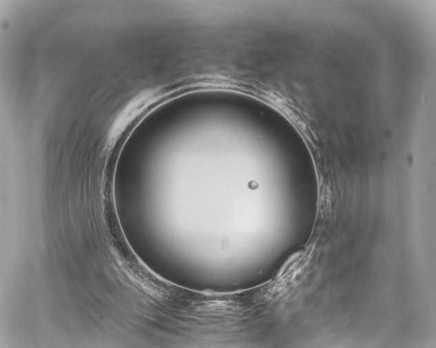 X0000059830151200510241430