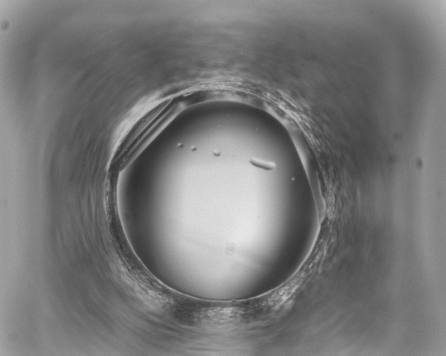 X0000059830152200510241430