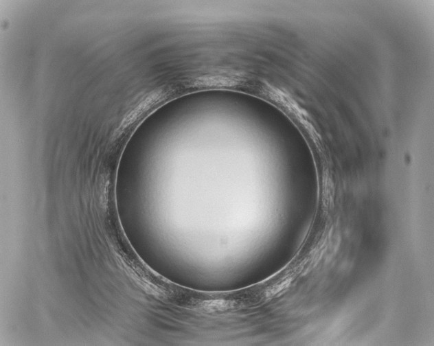 X0000059830153200510241430