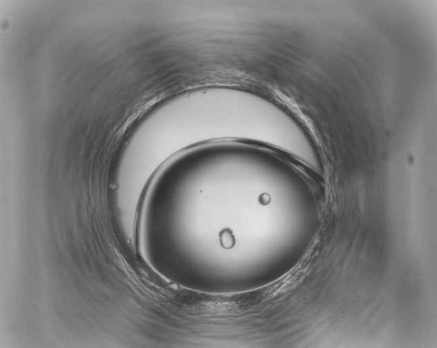 X0000059830154200510241430