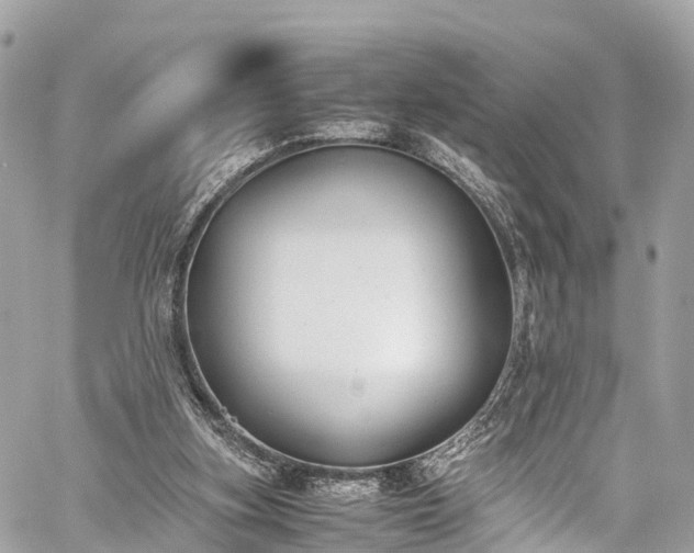 X0000059830155200510241430