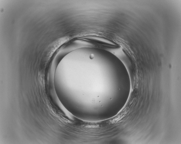 X0000059830156200510241430