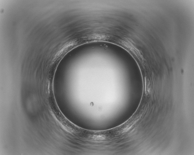 X0000059830157200510241430