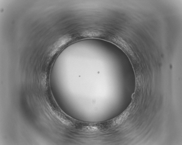 X0000059830159200510241430