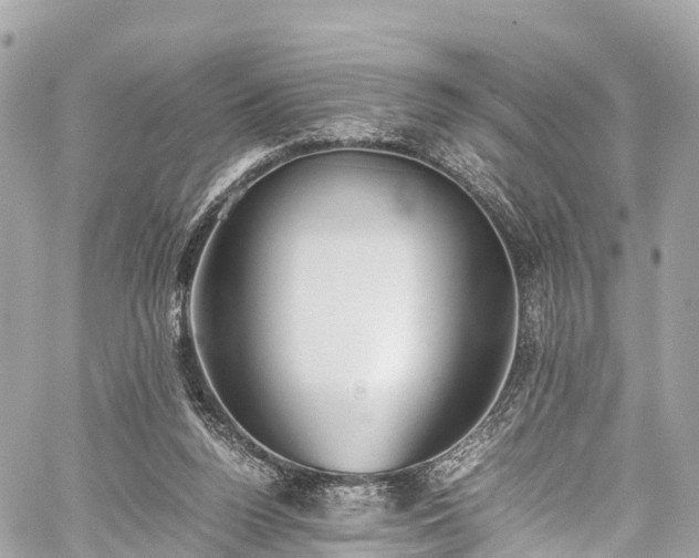 X0000059830160200510241430