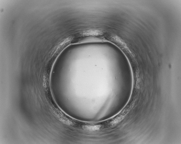 X0000059830161200510241430