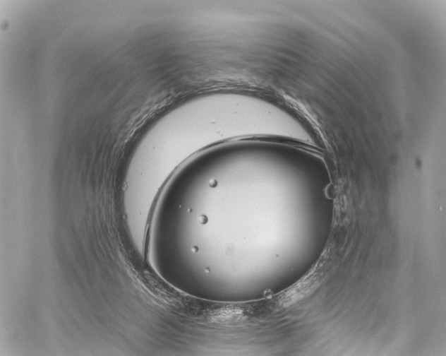 X0000059830162200510241430