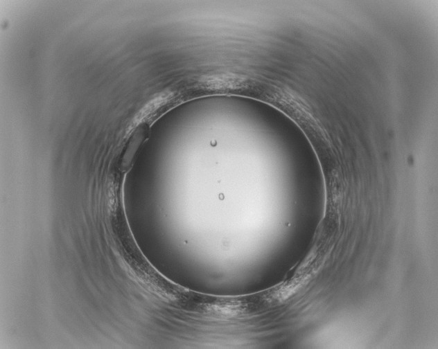 X0000059830164200510241430