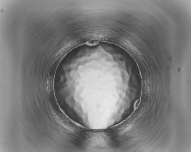 X0000059830165200510241430