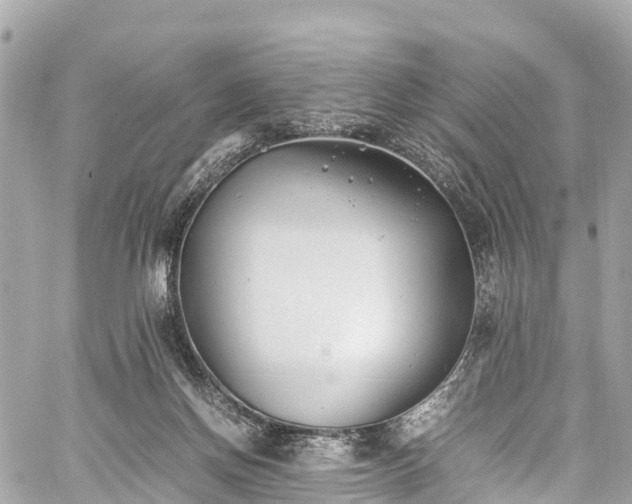 X0000059830166200510241430