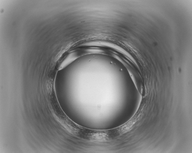 X0000059830168200510241430