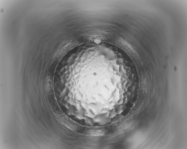 X0000059830169200510241430