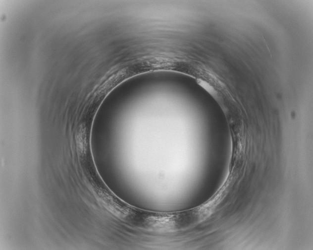 X0000059830170200510241430