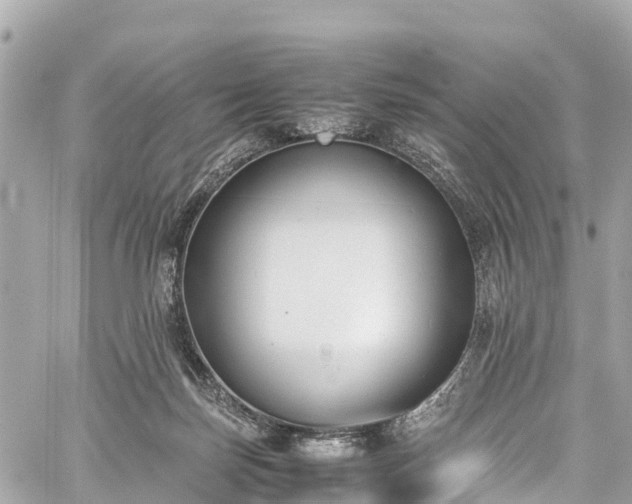 X0000059830171200510241430