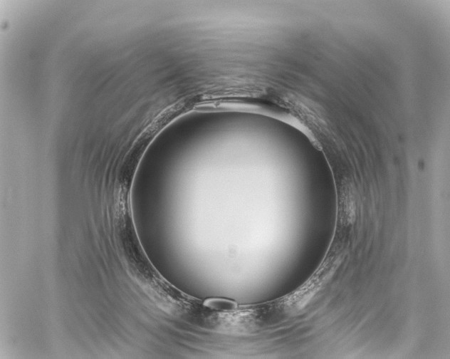 X0000059830172200510241430