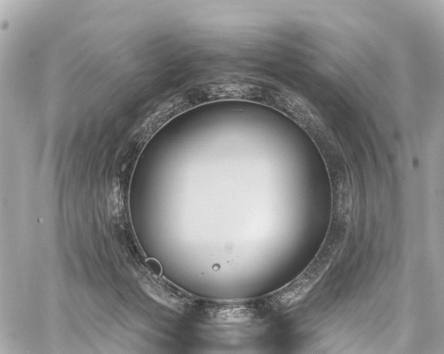 X0000059830173200510241430