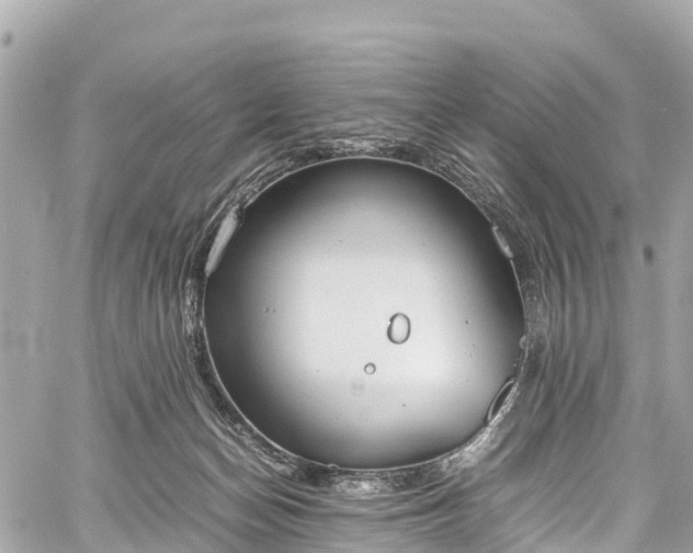 X0000059830174200510241430