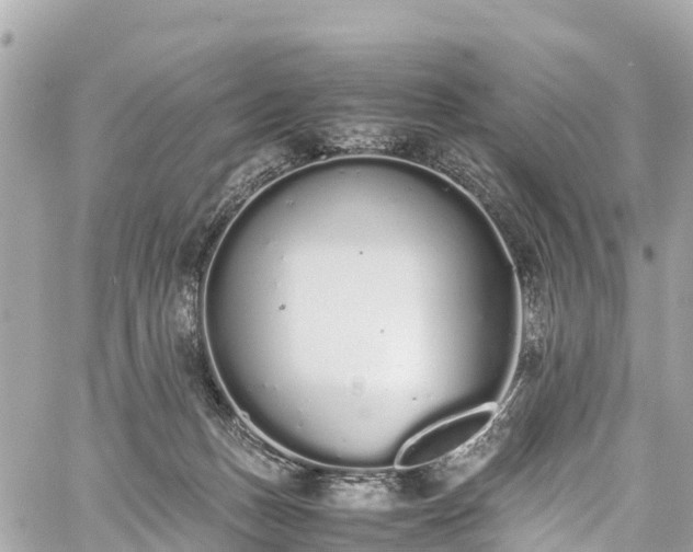 X0000059830175200510241430