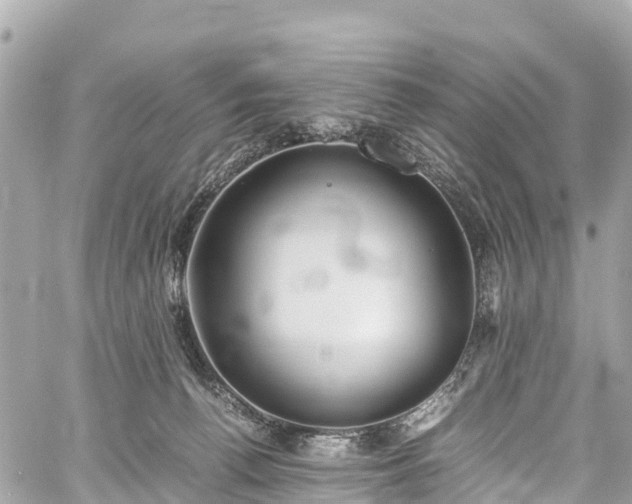 X0000059830176200510241430