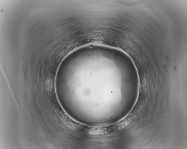 X0000059830177200510241430