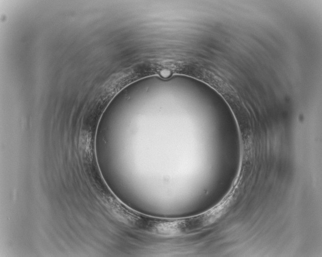 X0000059830178200510241430