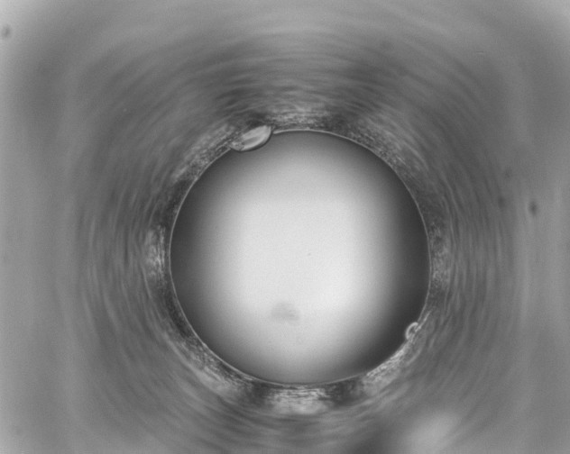 X0000059830179200510241430